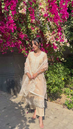 Load and play video in Gallery viewer, Beige Chanderi Cutwork Suit &amp; Dupatta
